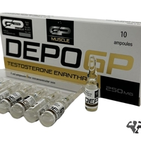 GP Muscle Depo - Testosterone Enanthate 10 amp 250 mg / ml