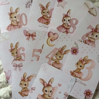 CRAFTONA Мини албум с фото карти - розово зайче