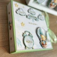 Албум за новородено с ринг механизъм 22х22 см., 12 листа - зелен Pooh