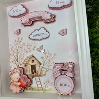 Албум дневник 