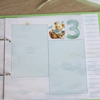 Албум за новородено с ринг механизъм 22х22 см., 12 листа - зелен Pooh