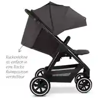 ABC Design Avus 2 Air Falcon Air Tires Комбинирана Детска Количка
