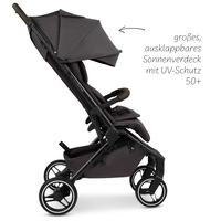 ABC Design Ping 3 Travel Trekking Falcon Комбинирана Детска Количка 2 в 1