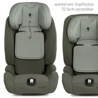 ABC Design Car Seat Aspen 2 Fix i-Size 15 months to 12 years Столче за Кола Sage
