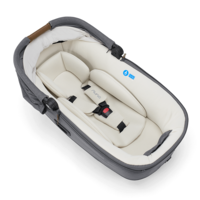 Nuna CARI Next Granite Кош за Новородено с Опция за Столче за Кола