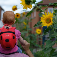  Раница LittleLife Калинка L10813, С повод 