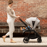 Nuna TRIV Next Rose Комбинирана Детска Количка