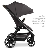 ABC Design Avus 2 Falcon Комбинирана Детска Количка