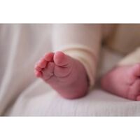 Petit ARTichaut Кръгла Метална Кутия за Бебешки Отпечатък със Стойка Little Prairie