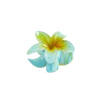 CUSTOM PLUMERIA CLIP in NA’AU