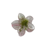 CUSTOM PLUMERIA CLIP in ‘OHA WAI