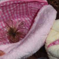 SMALL WATERMELON SHERBET TOWEL TOILETRY BAG