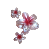 CUSTOM PLUMERIA CLIP set in ROSÉ PERLE