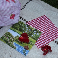 CUSTOM HEART MIDI CLIP SET IN LASSO MY HEART