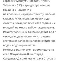 ЗЕМЕДЕЛСКА ЗЕМЯ С ЛОЗЯ И ОВОЩНА ГРАДИНА