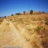 3 Парцела в село Струмяни в Регулация