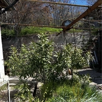 Къща в село Виногради 35000евро