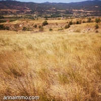 3 Парцела в село Струмяни в Регулация