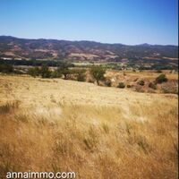 3 Парцела в село Струмяни в Регулация