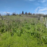 Къща в Село Генерал Тодоров 50000лв