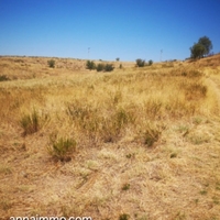 3 Парцела в село Струмяни в Регулация