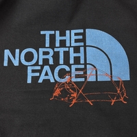 The North Face Logo Hoodie (S)