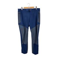 Patagonia M's Altvia Alpine Pants (38)