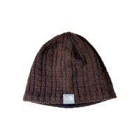 The North Face logo beanie