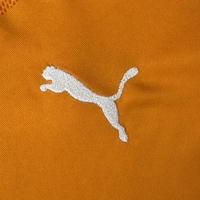 Puma 2010-11 Ivory Coast Home Shirt (XS)