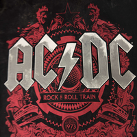 AC/DC Print T-shirt (M)