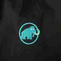 Mammut Gore-tex Active Shell Women's Jacket (S)