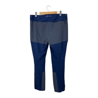 Patagonia M's Altvia Alpine Pants (38)