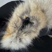 Canada Goose | 4565M | Expedition Parka (M)