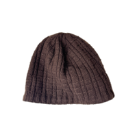 The North Face logo beanie