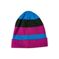 The North Face logo beanie (OS)