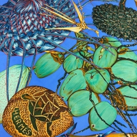 Vintage Hermès Jardin Creole Silk Scarf