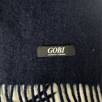 Gobi Cashmere scarf with fringes