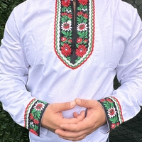 Мъжка риза 19