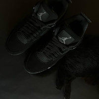 Jordan 4 Black Cat