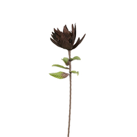 BROWN 2 ARTIFICIAL FLOWER EVA FOAM BROWN H76cm PRC