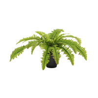 BOSTON FERN ARTIFICIAL PLANT POLYESTER PE/PP GREEN