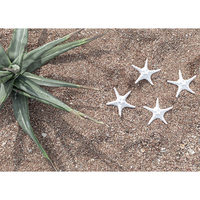 SEA DECO STARFISH POLYRESIN WHITE 11x11xH3,5cm PRC