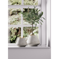 ARME PLANTER CONCRETE D12,7xH10,2cm IN