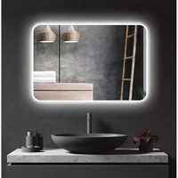 LED 80 MIRROR 80xH60cm PRC