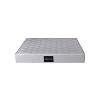 DEAL PLUS MATTRESS 120x200cm FABRIC WHITE FOAM TR