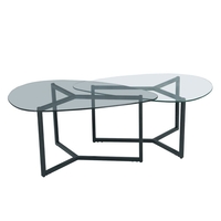 ROCKS COFFEE TABLE SET 2PCS GLASS TRANSPARENT METAL BLACK 82x59xH40cm PRC