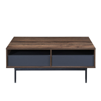 GROOVES COFFEE TABLE 2DRAWERS CHIPBOARD WITH MELAMINE CARTA WALNUT GREY METAL 110x60xH45cm MY