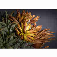 TERACCOTA 2 ARTIFICIAL FLOWER EVA FOAM TERRACOTTA