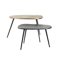 CURVE COFFEE TABLE SET 2PCS BLACK BRASS 70x49xH47cm IN