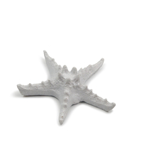 SEA DECO STARFISH POLYRESIN WHITE 11x11xH3,5cm PRC